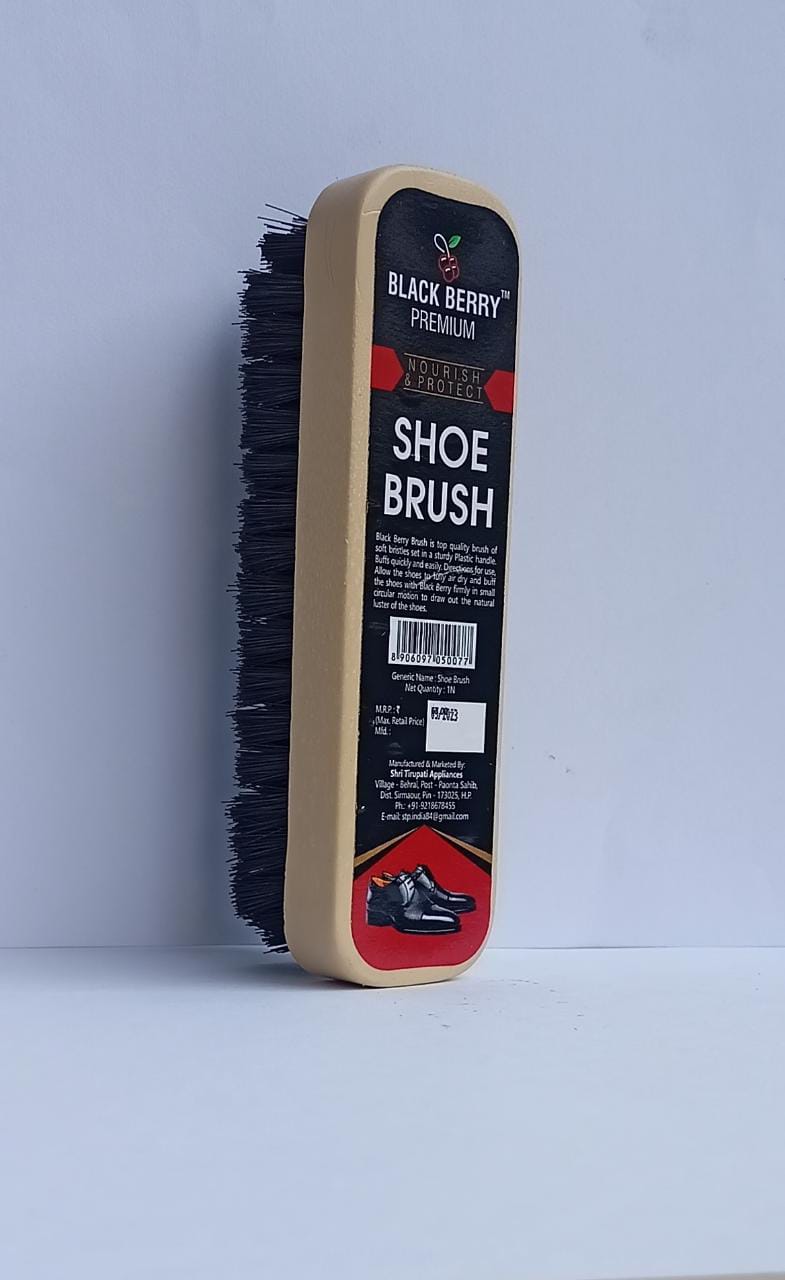 Shoe Brush